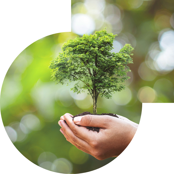 关怀人类、文化、环境与社会